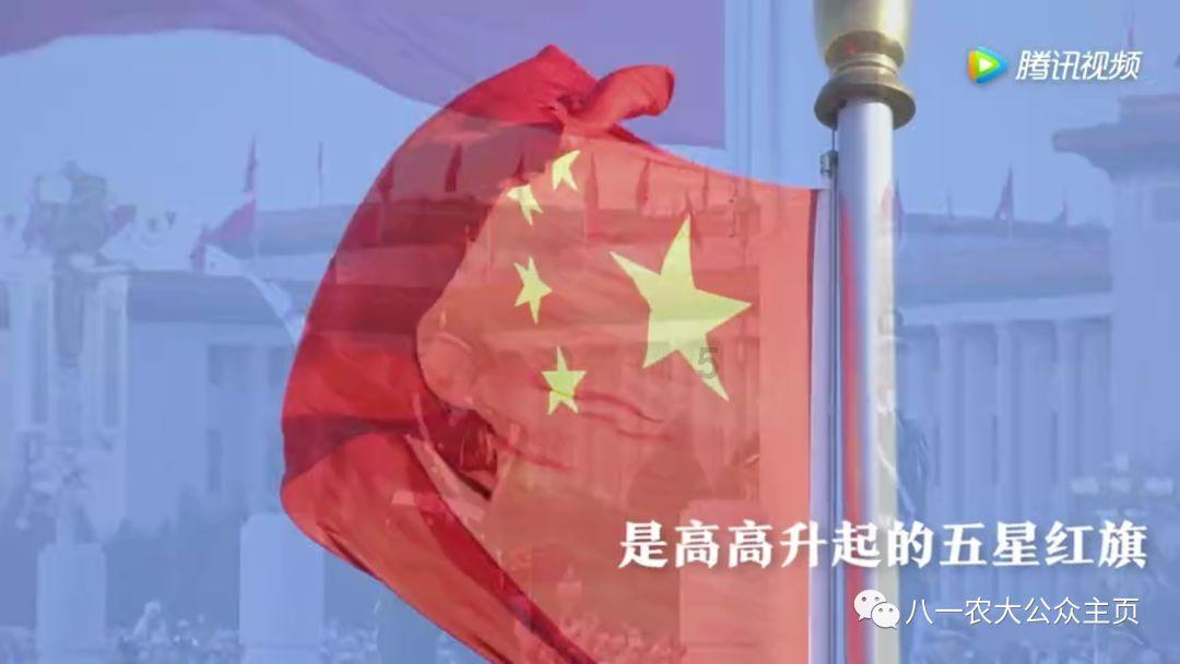 金币放置